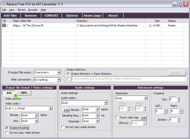 flv to converter